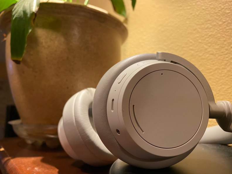 Surface Headphones with a plant in the background.